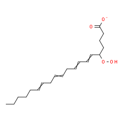 ChemSpider 2D Image | 5-Hydroperoxy-6,8,11,14-icosatetraenoate | C20H31O4