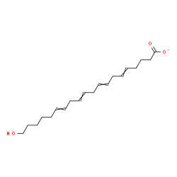 ChemSpider 2D Image | 20-Hydroxy-5,8,11,14-icosatetraenoate | C20H31O3