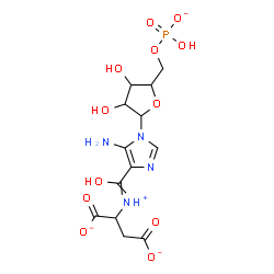 ChemSpider 2D Image | 4-{[(1,2-Dicarboxylatoethyl)ammonio]carbonyl}-1-[5-O-(hydroxyphosphinato)pentofuranosyl]-1H-imidazol-5-amine | C13H17N4O12P