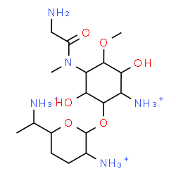 ChemSpider 2D Image | 6-(1-Ammonioethyl)-2-({2-ammonio-5-[glycyl(methyl)amino]-3,6-dihydroxy-4-methoxycyclohexyl}oxy)tetrahydro-2H-pyran-3-aminium | C17H38N5O6