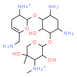 ChemSpider 2D Image | 4,6-Diamino-3-{[6-(aminomethyl)-3-ammonio-3,4-dihydro-2H-pyran-2-yl]oxy}-2-hydroxycyclohexyl 3-deoxy-4-C-methyl-3-(methylammonio)pentopyranoside | C19H39N5O7