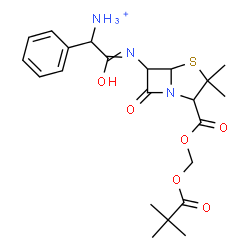 ChemSpider 2D Image | 2-{[2-({[(2,2-Dimethylpropanoyl)oxy]methoxy}carbonyl)-3,3-dimethyl-7-oxo-4-thia-1-azabicyclo[3.2.0]hept-6-yl]amino}-2-oxo-1-phenylethanaminium | C22H30N3O6S