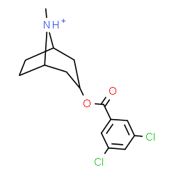 ChemSpider 2D Image | 3-[(3,5-Dichlorobenzoyl)oxy]-8-methyl-8-azoniabicyclo[3.2.1]octane | C15H18Cl2NO2