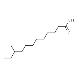 ChemSpider 2D Image | 10-Methyldodecanoic acid | C13H26O2
