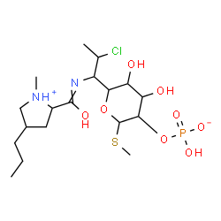 ChemSpider 2D Image | Methyl 5-(2-chloro-1-{[(1-methyl-4-propyl-2-pyrrolidiniumyl)carbonyl]amino}propyl)-2-O-(hydroxyphosphinato)-1-thiopentopyranoside | C18H34ClN2O8PS