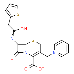 ChemSpider 2D Image | 8-Oxo-3-(1-pyridiniumylmethyl)-7-[(2-thienylacetyl)amino]-5-thia-1-azabicyclo[4.2.0]oct-2-ene-2-carboxylate | C19H17N3O4S2
