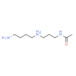 ChemSpider 2D Image | N-(3-Acetamidopropyl)-1,4-butanediaminium | C9H23N3O