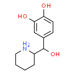 ChemSpider 2D Image | 2-[(3,4-Dihydroxyphenyl)(hydroxy)methyl]piperidinium | C12H18NO3