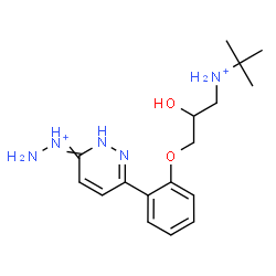 ChemSpider 2D Image | [6-(2-{2-Hydroxy-3-[(2-methyl-2-propanyl)ammonio]propoxy}phenyl)-3-pyridazinyl]hydrazinium | C17H27N5O2