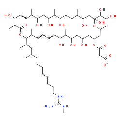 ChemSpider 2D Image | 3-{[15-(12-{[Ammonio(methylamino)methylene]amino}-4-methyl-8-dodecen-2-yl)-5,7,9,19,23,25,27,31,33,34,35-undecahydroxy-8,14,18,22,26,30-hexamethyl-17-oxo-16,37-dioxabicyclo[31.3.1]heptatriaconta-10,12
,20-trien-3-yl]oxy}-3-oxopropanoate | C59H103N3O18