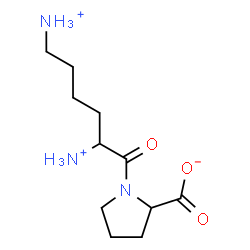 ChemSpider 2D Image | 1-(2,6-Diammoniohexanoyl)-2-pyrrolidinecarboxylate | C11H22N3O3