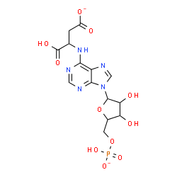 ChemSpider 2D Image | 3-[[9-[(2R,3S,4S,5R)-3,4-dihydroxy-5-[(hydroxy-oxido-phosphoryl)oxymethyl]tetrahydrofuran-2-yl]purin-6-yl]amino]-4-hydroxy-4-oxo-butanoate | C14H16N5O11P