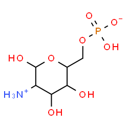 ChemSpider 2D Image | 2-Ammonio-2-deoxy-6-O-(hydroxyphosphinato)hexopyranose | C6H14NO8P