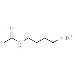 ChemSpider 2D Image | 4-Acetamido-1-butanaminium | C6H15N2O