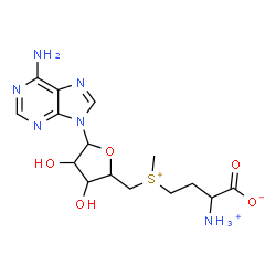 ChemSpider 2D Image | (2S)-4-[[(2S,3S,4S,5R)-5-(6-aminopurin-9-yl)-3,4-dihydroxy-tetrahydrofuran-2-yl]methyl-methyl-sulfonio]-2-azaniumyl-butanoate | C15H23N6O5S