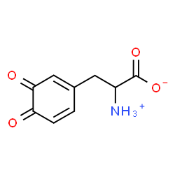 ChemSpider 2D Image | 2-Ammonio-3-(3,4-dioxo-1,5-cyclohexadien-1-yl)propanoate | C9H9NO4