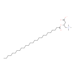 ChemSpider 2D Image | 3-(Hexacosanoyloxy)-4-(trimethylammonio)butanoate | C33H65NO4