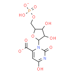 ChemSpider 2D Image | 3-[5-O-(Hydroxyphosphinato)pentofuranosyl]-2,6-dioxo-1,2,3,6-tetrahydro-4-pyrimidinecarboxylatato | C10H11N2O11P