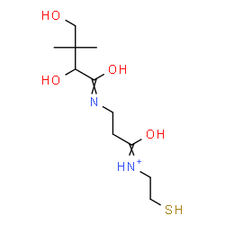 ChemSpider 2D Image | 3-[(2,4-Dihydroxy-3,3-dimethylbutanoyl)amino]-1-oxo-N-(2-sulfanylethyl)-1-propanaminium | C11H23N2O4S