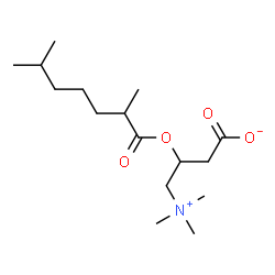 ChemSpider 2D Image | 3-[(2,6-Dimethylheptanoyl)oxy]-4-(trimethylammonio)butanoate | C16H31NO4