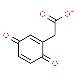 ChemSpider 2D Image | (3,6-Dioxo-1,4-cyclohexadien-1-yl)acetate | C8H5O4