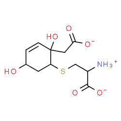 ChemSpider 2D Image | 2-Ammonio-3-{[2-(carboxylatomethyl)-2,5-dihydroxy-3-cyclohexen-1-yl]sulfanyl}propanoate | C11H16NO6S