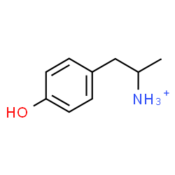 ChemSpider 2D Image | 1-(4-Hydroxyphenyl)-2-propanaminium | C9H14NO