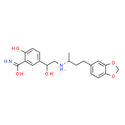 ChemSpider 2D Image | 4-(1,3-Benzodioxol-5-yl)-N-[2-(3-carbamoyl-4-hydroxyphenyl)-2-hydroxyethyl]-2-butanaminium | C20H25N2O5