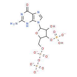 ChemSpider 2D Image | 2-Amino-9-{3-O-(hydroxyphosphinato)-5-O-[(phosphonatooxy)phosphinato]pentofuranosyl}-1,9-dihydro-6H-purin-6-one | C10H12N5O14P3