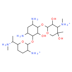 ChemSpider 2D Image | 4,6-Diamino-3-({3-ammonio-6-[1-(methylammonio)ethyl]tetrahydro-2H-pyran-2-yl}oxy)-2-hydroxycyclohexyl 3-deoxy-4-C-methyl-3-(methylammonio)pentopyranoside | C21H46N5O7
