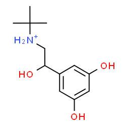 ChemSpider 2D Image | N-[2-(3,5-Dihydroxyphenyl)-2-hydroxyethyl]-2-methyl-2-propanaminium | C12H20NO3