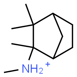 ChemSpider 2D Image | N,2,3,3-Tetramethylbicyclo[2.2.1]heptan-2-aminium | C11H22N