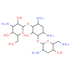 ChemSpider 2D Image | 4,6-Diamino-3-[(3-amino-3-deoxyhexopyranosyl)oxy]-2-hydroxycyclohexyl 6-amino-2-ammonio-2,3,6-trideoxyhexopyranoside | C18H38N5O9