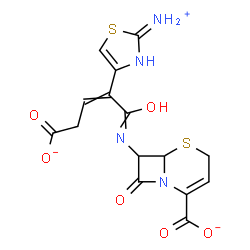ChemSpider 2D Image | 7-{[2-(2-Ammonio-1,3-thiazol-4-yl)-4-carboxylato-2-butenoyl]amino}-8-oxo-5-thia-1-azabicyclo[4.2.0]oct-2-ene-2-carboxylate | C15H13N4O6S2