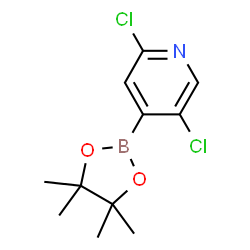 ChemSpider 2D Image | 2,5-Dichloropyridine-4-boronic acid pinacol ester | C11H14BCl2NO2
