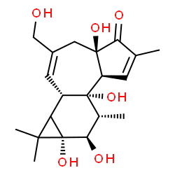 ChemSpider 2D Image | (1bS,4aR,7aS,7bS,8R,9R,9aS)-4a,7b,9,9a-Tetrahydroxy-3-(hydroxymethyl)-1,1,6,8-tetramethyl-1,1a,1b,4,4a,7a,7b,8,9,9a-decahydro-5H-cyclopropa[3,4]benzo[1,2-e]azulen-5-one | C20H28O6