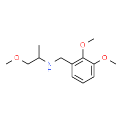 ChemSpider 2D Image | N-(2,3-Dimethoxybenzyl)-1-methoxy-2-propanamine | C13H21NO3