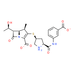 ChemSpider 2D Image | (4R,5S,6S)-3-({(3S,5S)-5-[(3-Carboxylatophenyl)carbamoyl]-3-pyrrolidiniumyl}sulfanyl)-6-[(1R)-1-hydroxyethyl]-4-methyl-7-oxo-1-azabicyclo[3.2.0]hept-2-ene-2-carboxylate | C22H24N3O7S