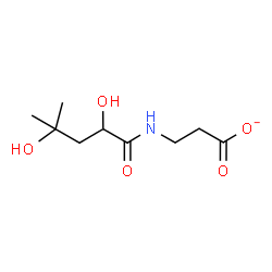 ChemSpider 2D Image | 3-[(2,4-Dihydroxy-4-methylpentanoyl)amino]propanoate | C9H16NO5