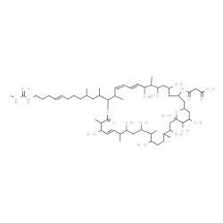 ChemSpider 2D Image | 3-Oxo-3-({(10E,12Z,20E)-5,7,9,19,23,25,27,31,33,34,35-undecahydroxy-8,14,18,22,26,30-hexamethyl-15-[(8E)-4-methyl-12-(N'-methylcarbamimidamido)-8-dodecen-2-yl]-17-oxo-16,37-dioxabicyclo[31.3.1]heptatr
iaconta-10,12,20-trien-3-yl}oxy)propanoic acid | C59H103N3O18