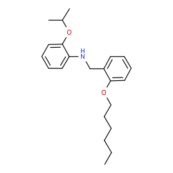 ChemSpider 2D Image | N-[2-(Hexyloxy)benzyl]-2-isopropoxyaniline | C22H31NO2