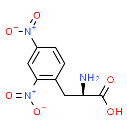 ChemSpider 2D Image | 2,4-Dinitro-D-phenylalanine | C9H9N3O6