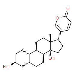 ChemSpider 2D Image | (3beta,5beta,8alpha,17alpha)-3,14-Dihydroxy-21,24-epoxy-19-norchola-20,22-dien-24-one | C23H32O4