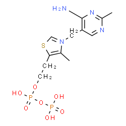 ChemSpider 2D Image | 2-[3-[(4-amino-2-methyl-pyrimidin-5-yl)methyl]-4-methyl-thiazol-5-yl]ethyl phosphono hydrogen phosphate | C12H19N4O7P2S
