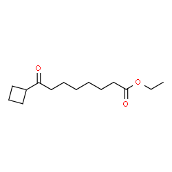 ChemSpider 2D Image | Ethyl 8-cyclobutyl-8-oxooctanoate | C14H24O3