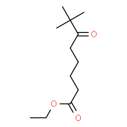 ChemSpider 2D Image | Ethyl 7,7-dimethyl-6-oxooctanoate | C12H22O3