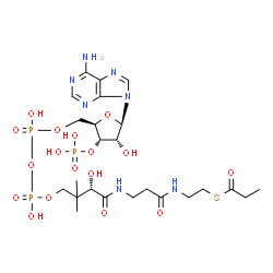 ChemSpider 2D Image | S-{(9S)-1-[(2R,3S,4R,5R)-5-(6-Amino-9H-purin-9-yl)-4-hydroxy-3-(phosphonooxy)tetrahydro-2-furanyl]-3,5,9-trihydroxy-8,8-dimethyl-3,5-dioxido-10,14-dioxo-2,4,6-trioxa-11,15-diaza-3lambda~5~,5lambda~5~-
diphosphaheptadecan-17-yl} propanethioate | C24H40N7O17P3S