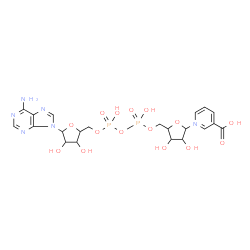 ChemSpider 2D Image | 1-[5-[[[[5-(6-aminopurin-9-yl)-3,4-dihydroxy-tetrahydrofuran-2-yl]methoxy-hydroxy-phosphoryl]oxy-hydroxy-phosphoryl]oxymethyl]-3,4-dihydroxy-tetrahydrofuran-2-yl]pyridine-3-carboxylic acid | C21H27N6O15P2