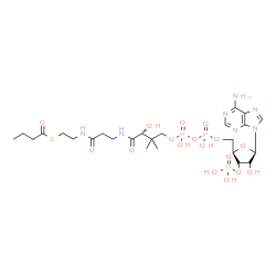 ChemSpider 2D Image | S-{(9R)-1-[(2R,3S,4R,5R)-5-(6-Amino-9H-purin-9-yl)-4-hydroxy-3-(phosphonooxy)tetrahydro-2-furanyl]-3,5,9-trihydroxy-8,8-dimethyl-3,5-dioxido-10,14-dioxo-2,4,6-trioxa-11,15-diaza-3lambda~5~,5lambda~5~-
diphosphaheptadecan-17-yl} butanethioate | C25H42N7O17P3S