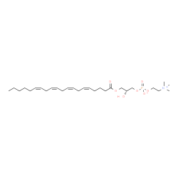 ChemSpider 2D Image | 1-arachidonoyl-sn-glycero-3-phosphocholine | C28H50NO7P